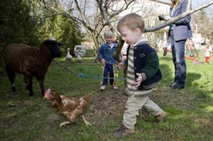 Húsvét, állatsimogató