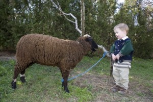 Húsvét, állatsimogató